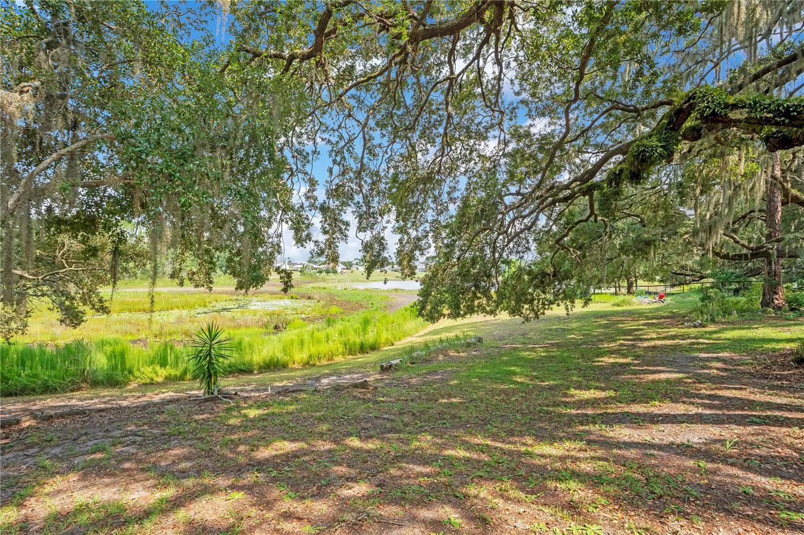 41832 Carrie Ln Property Photo 51