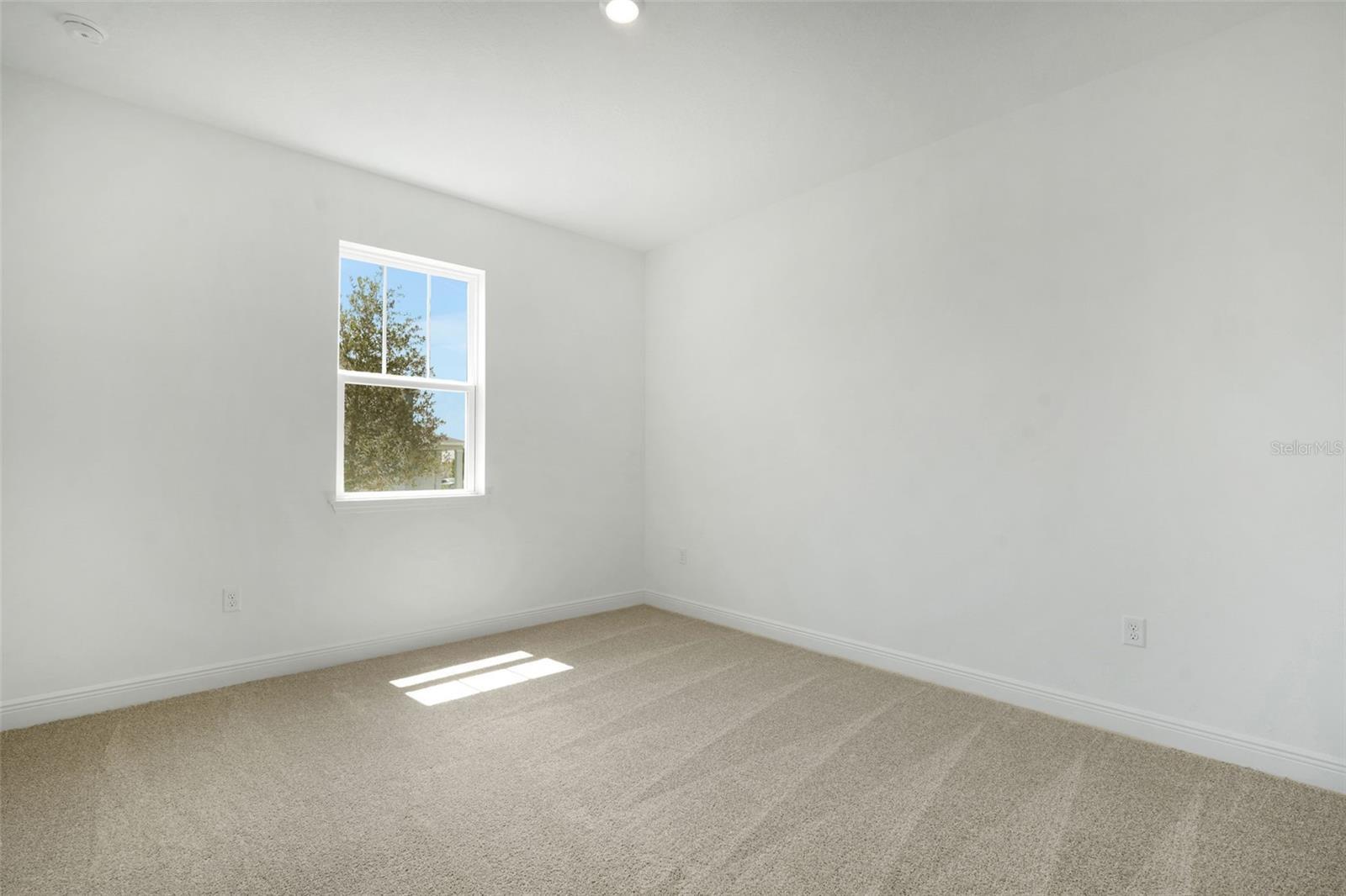 5229 Waypointe Blvd Property Photo 28