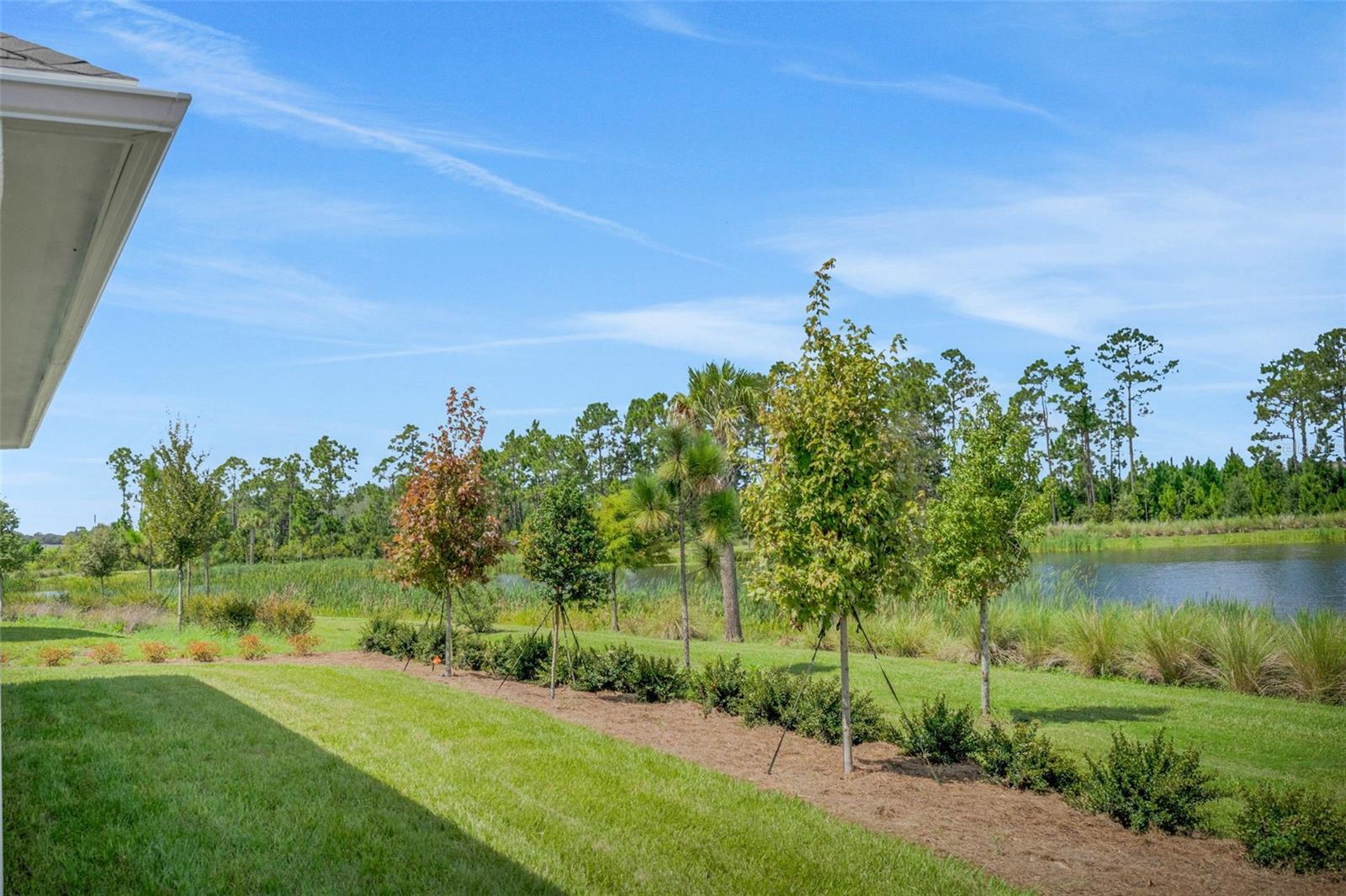 2960 Garden Trail Bnd Property Photo 62