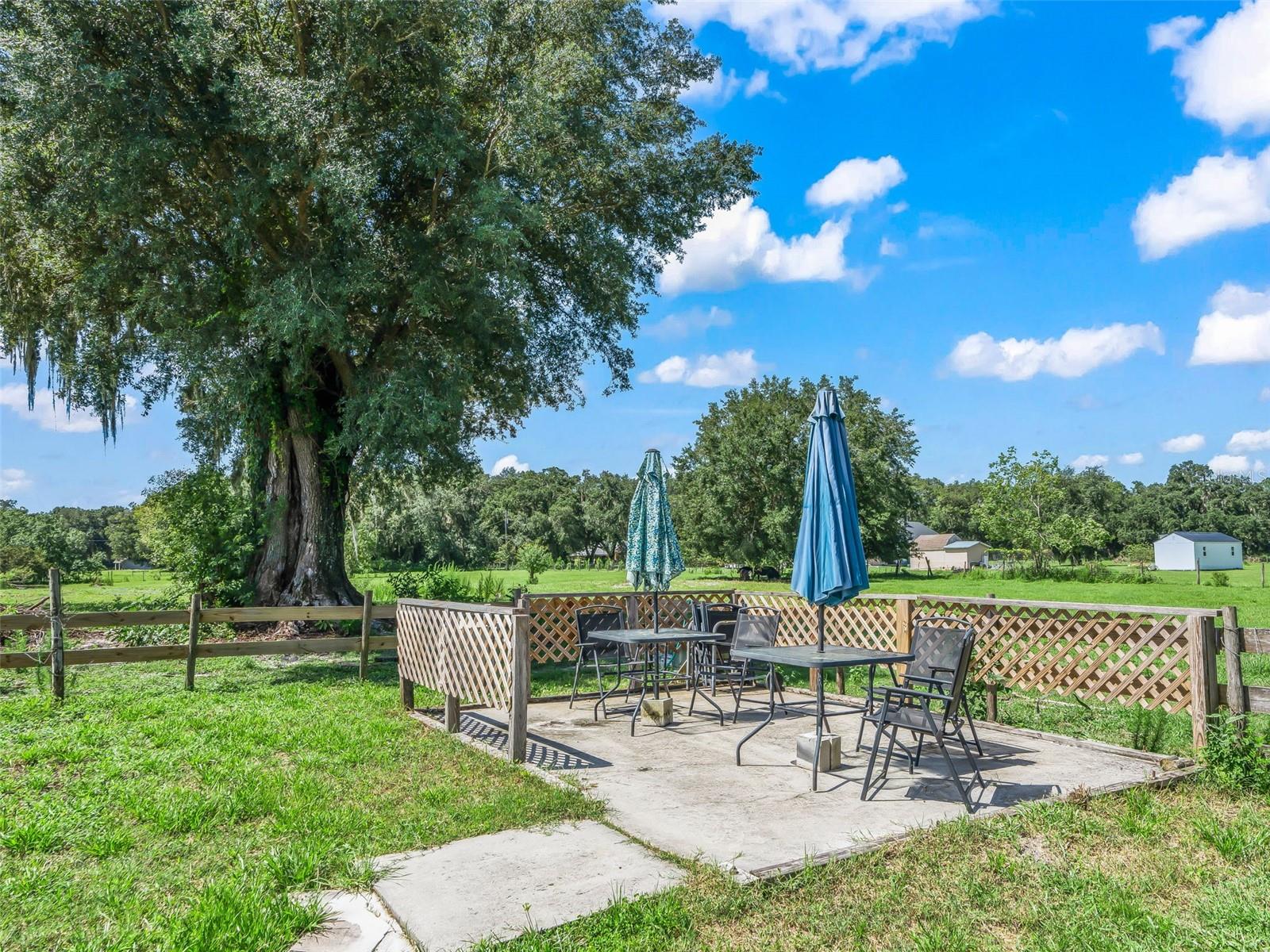 1365 Cr 652 Property Photo 64