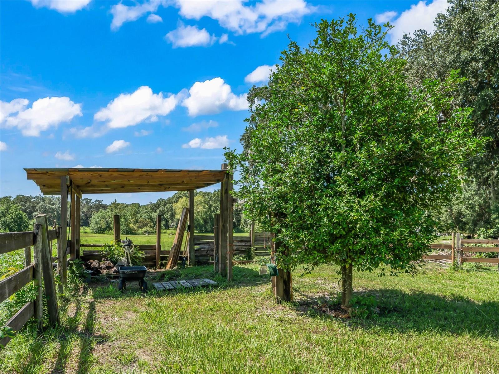 1365 Cr 652 Property Photo 73