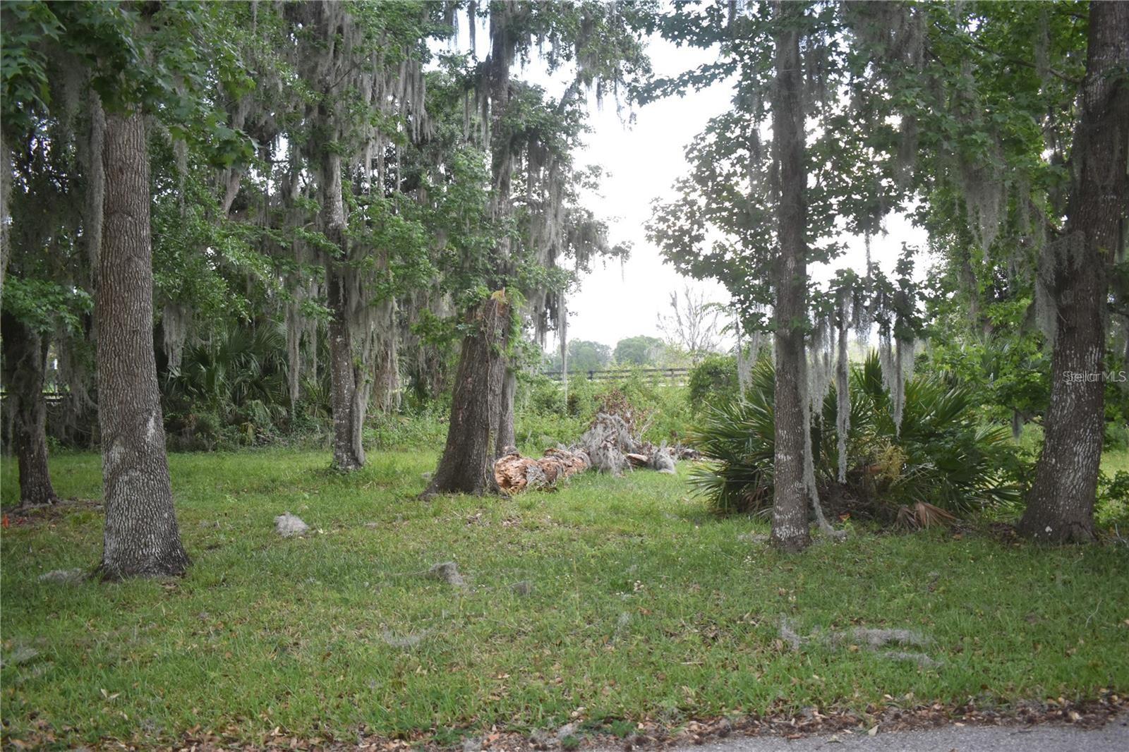 Lot 52 Blk C Lexington- Cir Property Photo 1