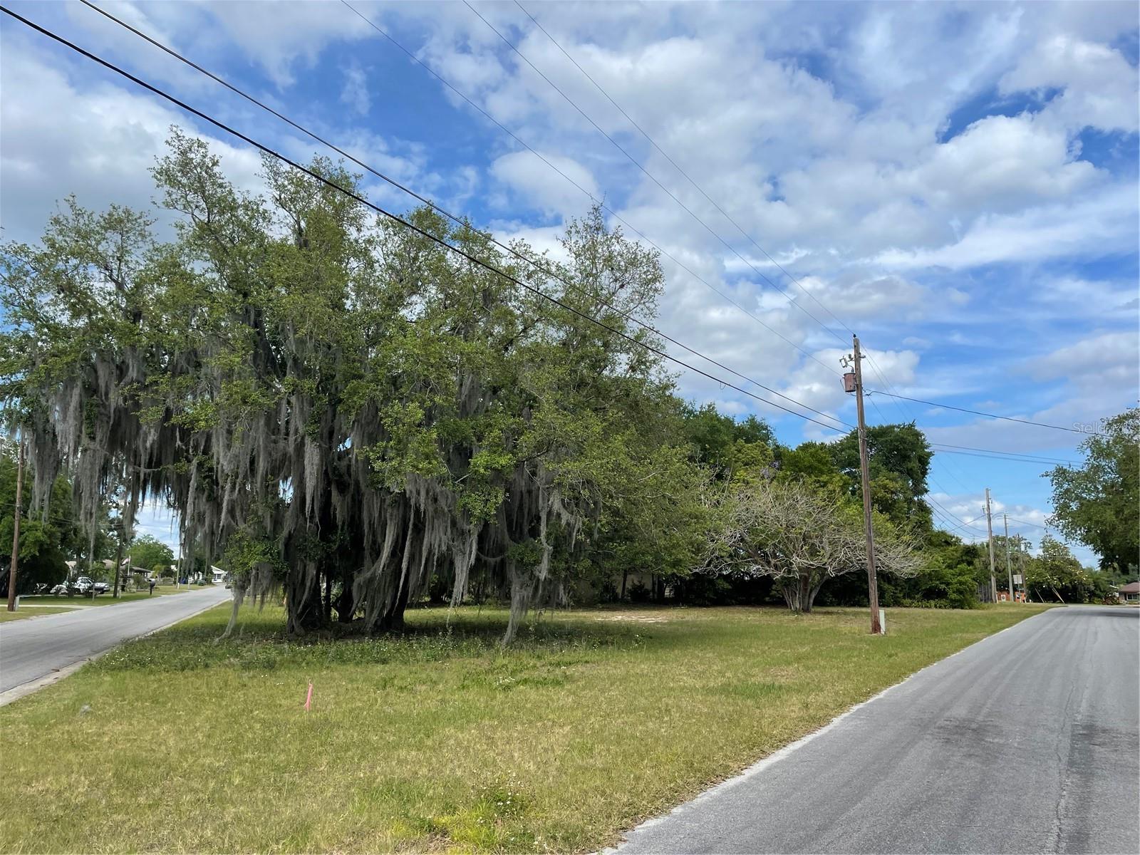 CLARA AVE
