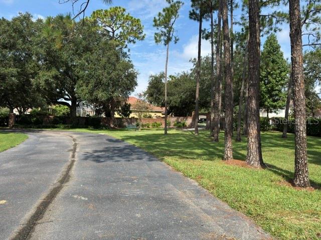 10734 Woodchase Cir Property Photo 41