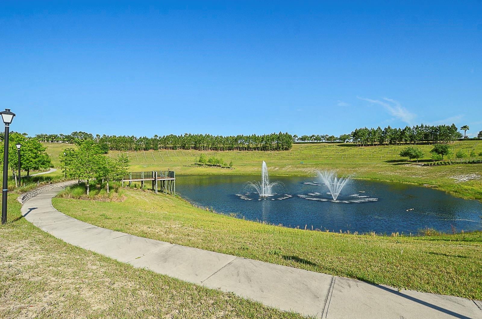 3831 Sanibel St Property Photo 50