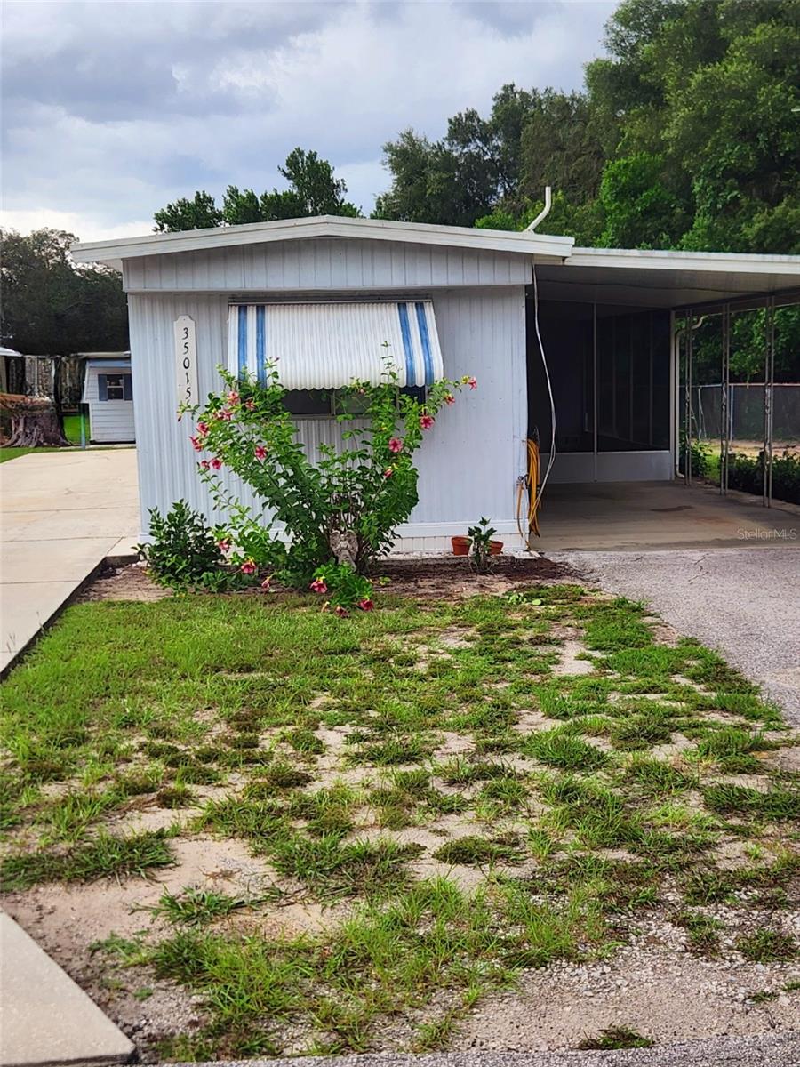 35015 Major Dade Property Photo 9