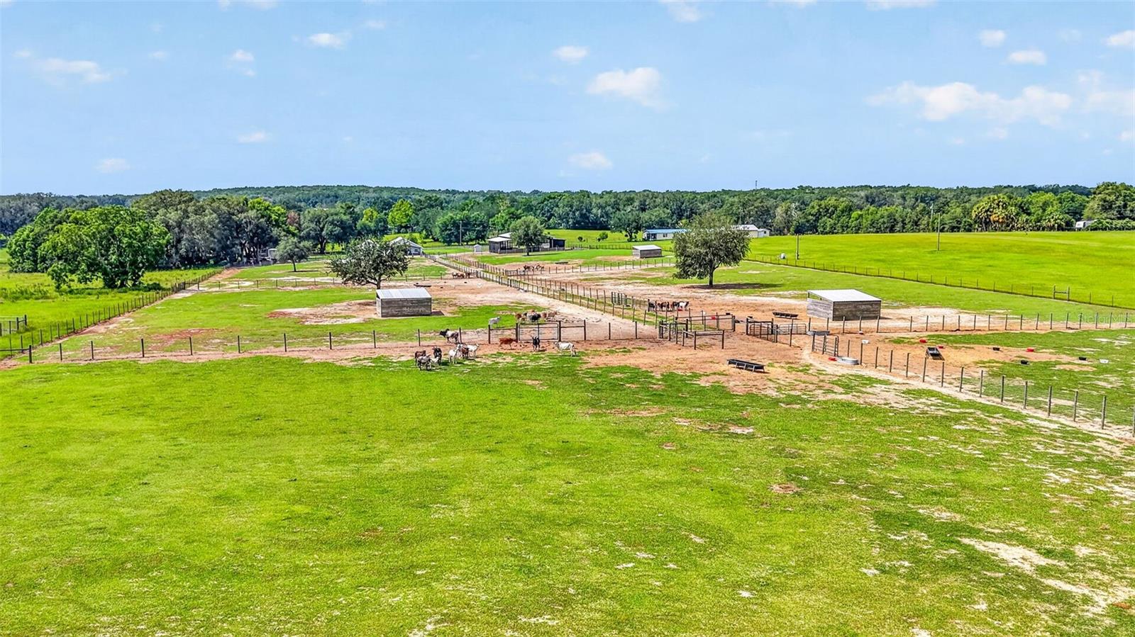 14125 Se 175th St Property Photo 9