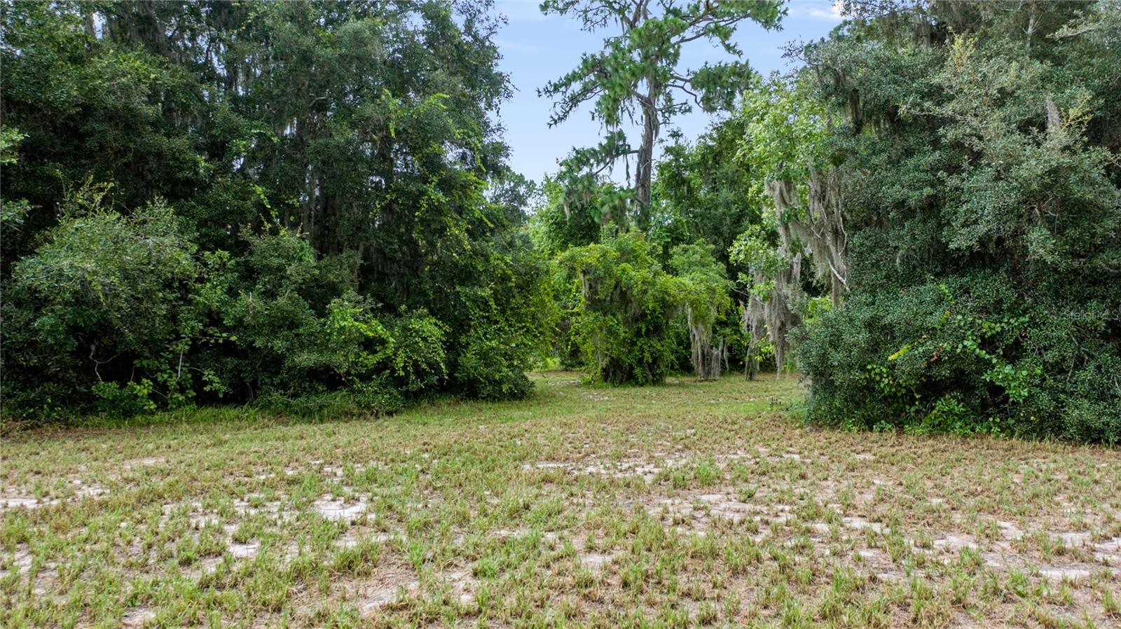Trotting Horse Ln Property Photo 7