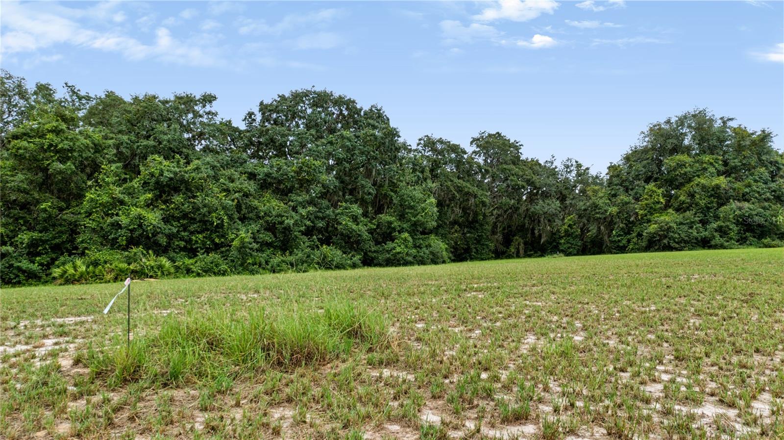 Trotting Horse Ln Property Photo 8