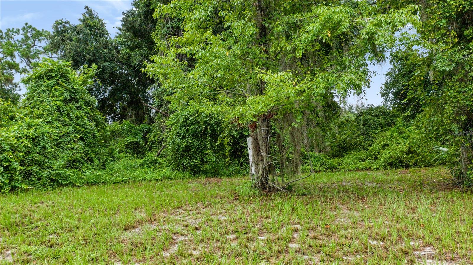 Trotting Horse Ln Property Photo 10