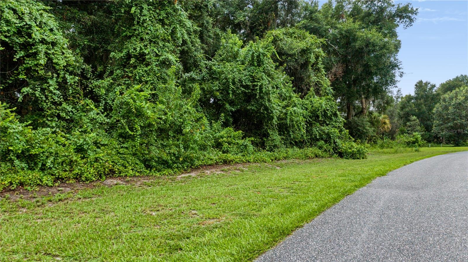 Trotting Horse Ln Property Photo 11