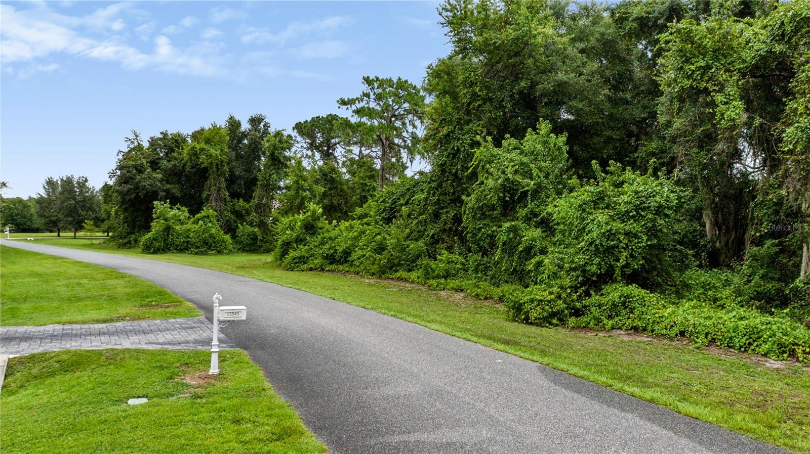 Trotting Horse Ln Property Photo 12