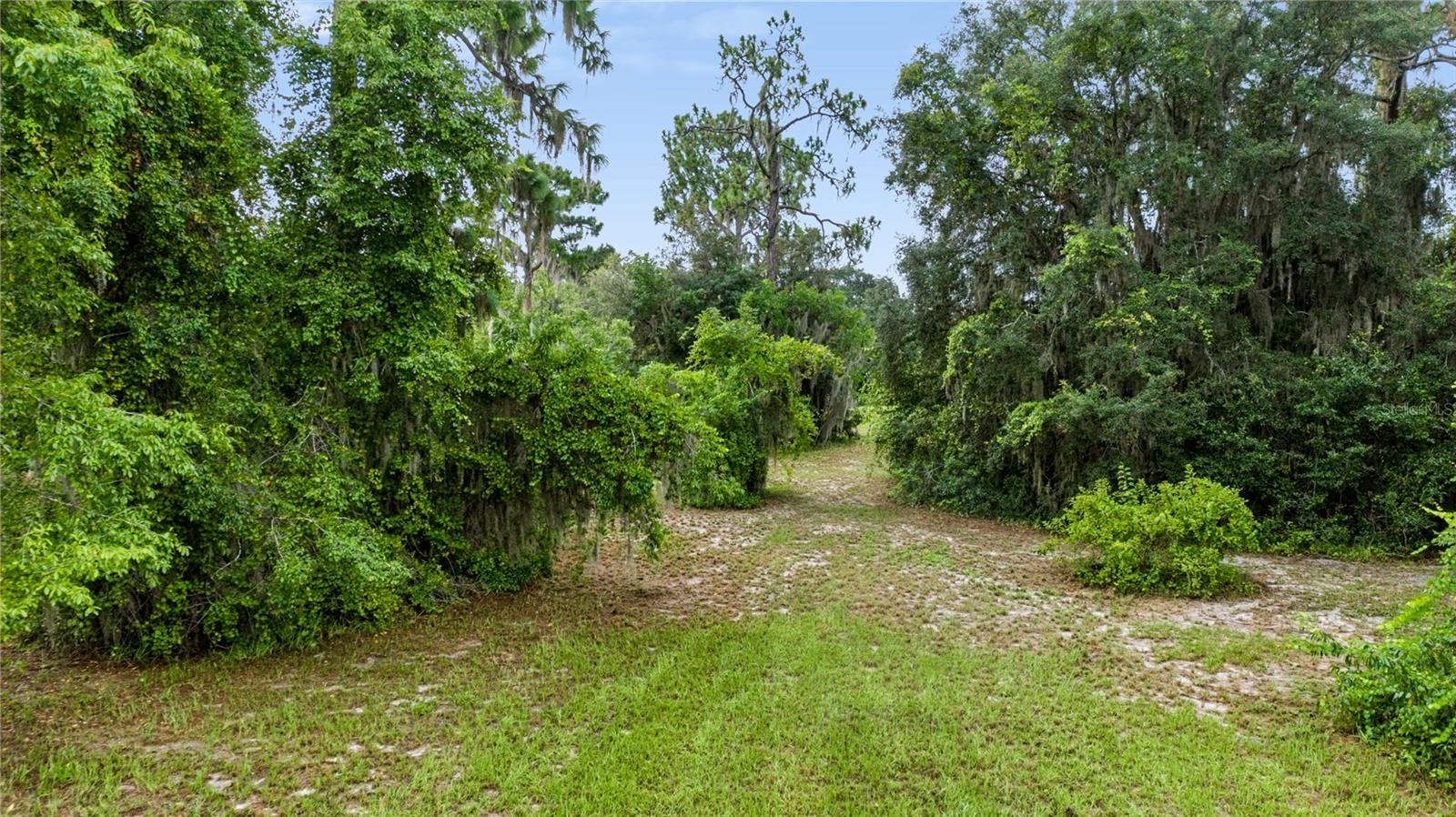 Trotting Horse Ln Property Photo 15
