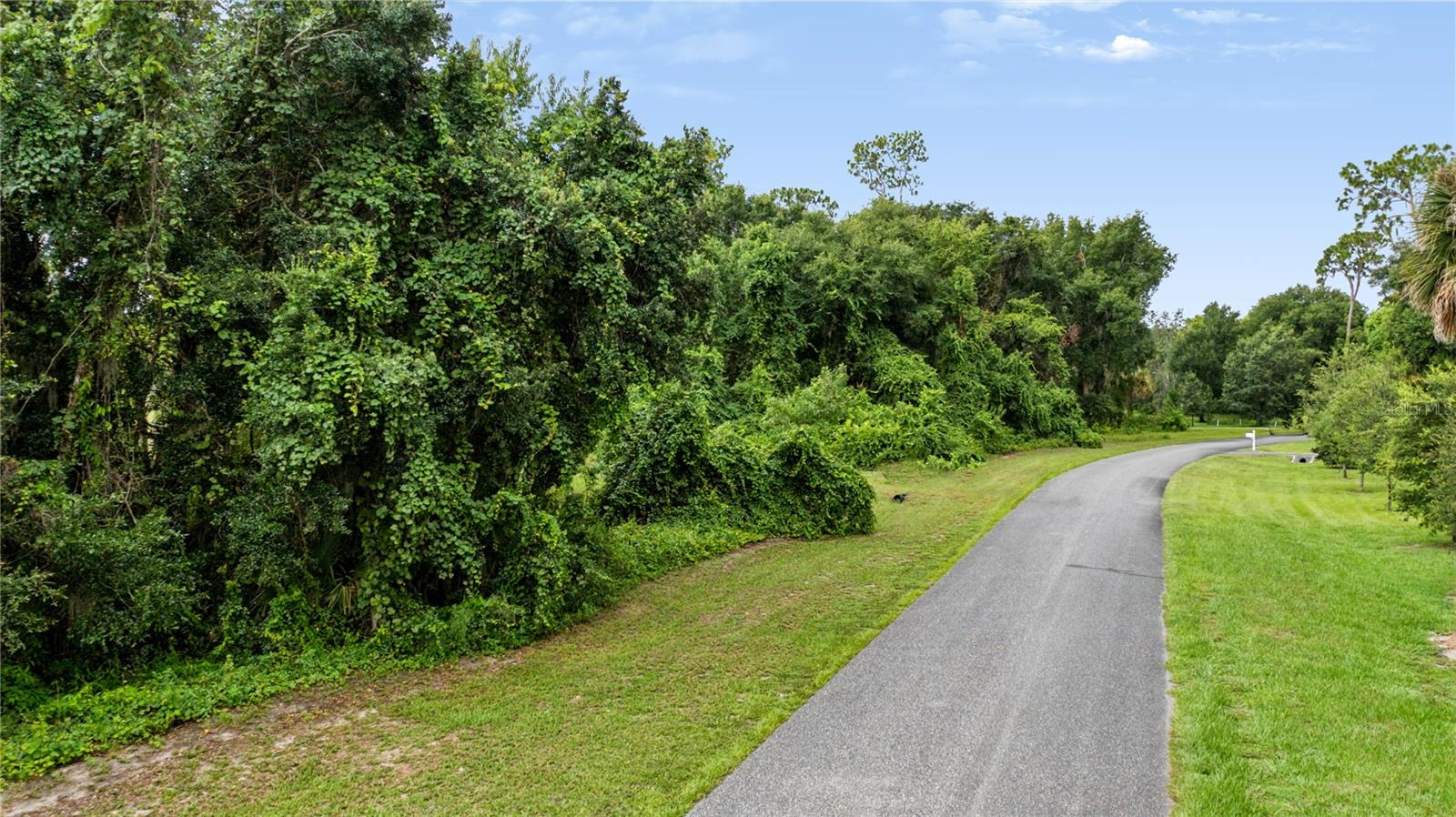 Trotting Horse Ln Property Photo 45