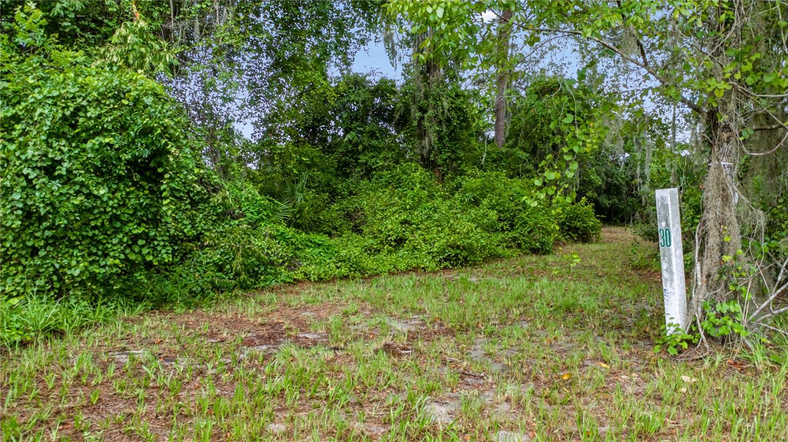 Trotting Horse Ln Property Photo 46