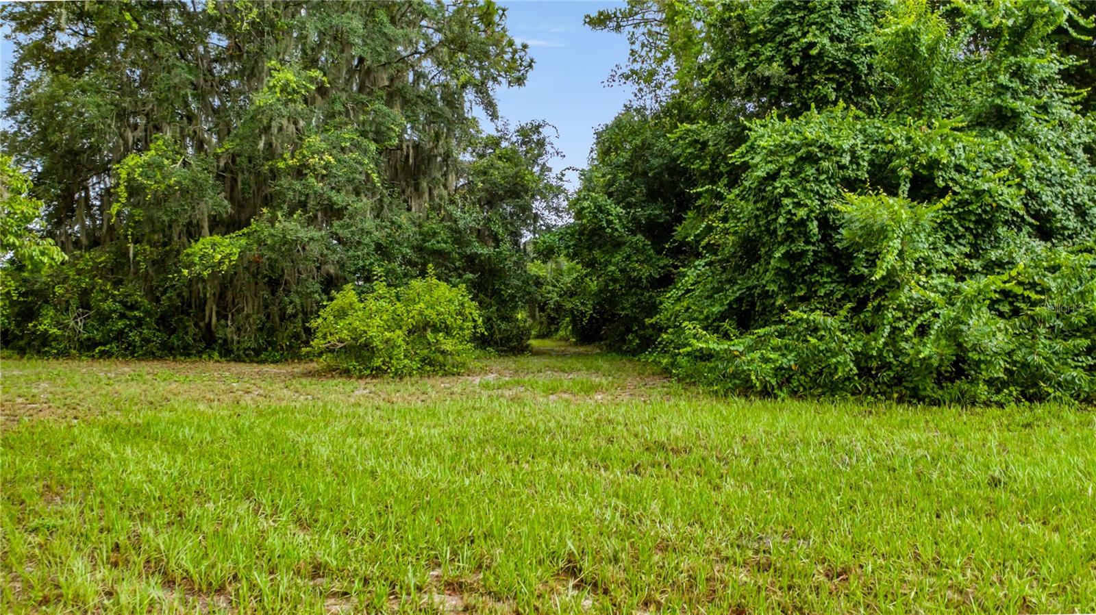 Trotting Horse Ln Property Photo 47