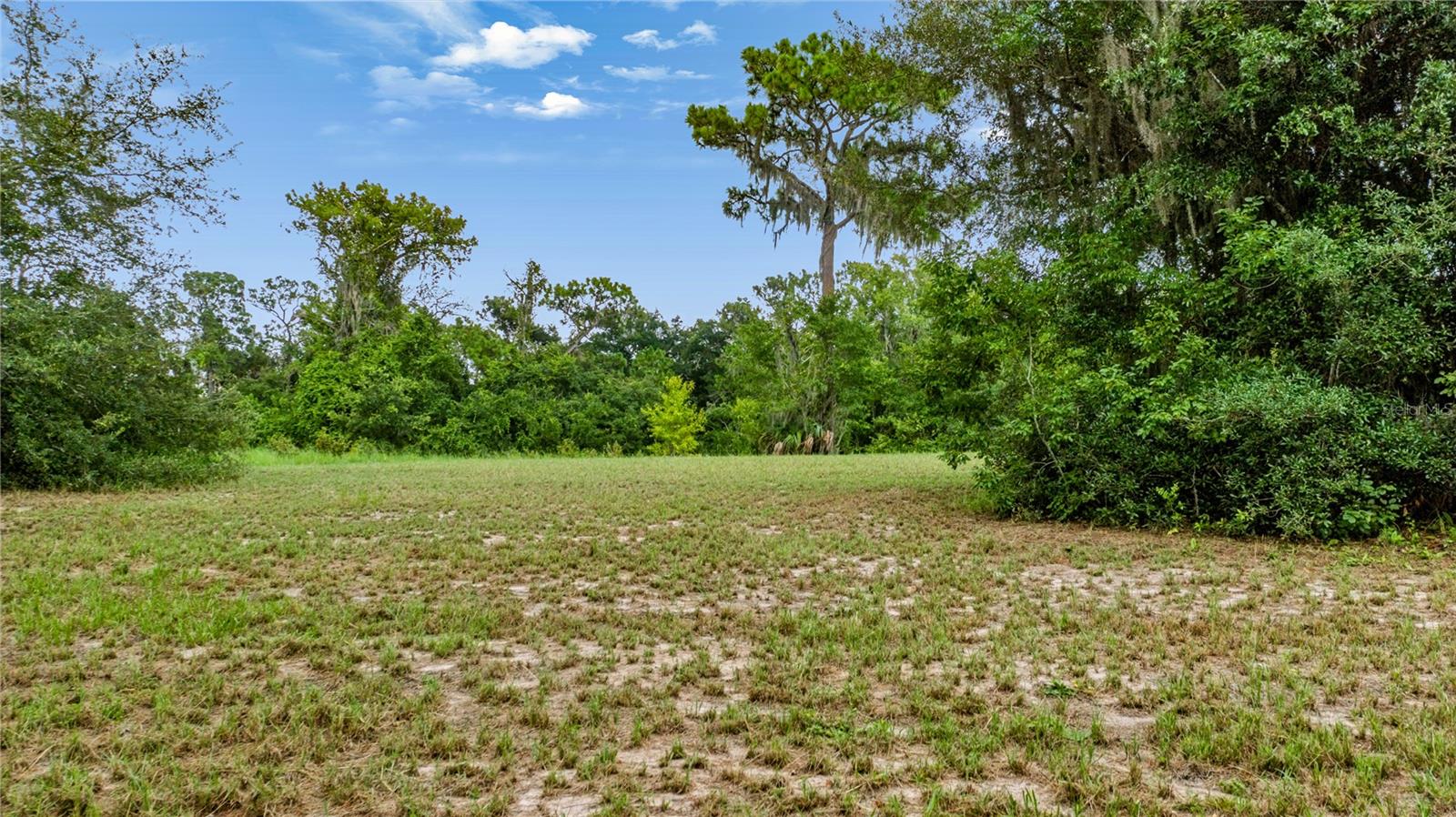 Trotting Horse Ln Property Photo 48