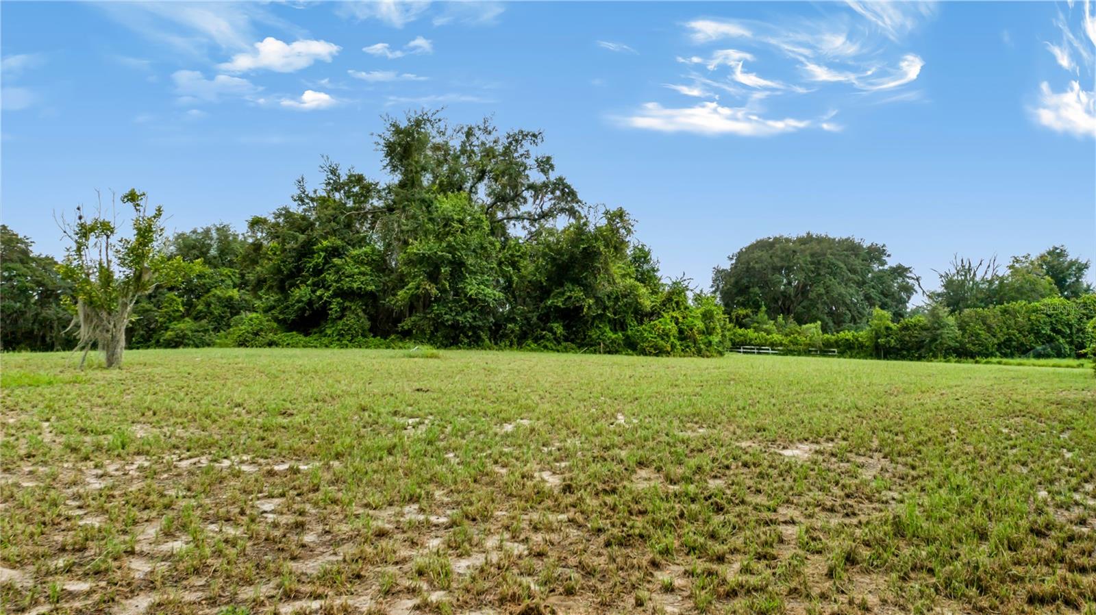 Trotting Horse Ln Property Photo 49