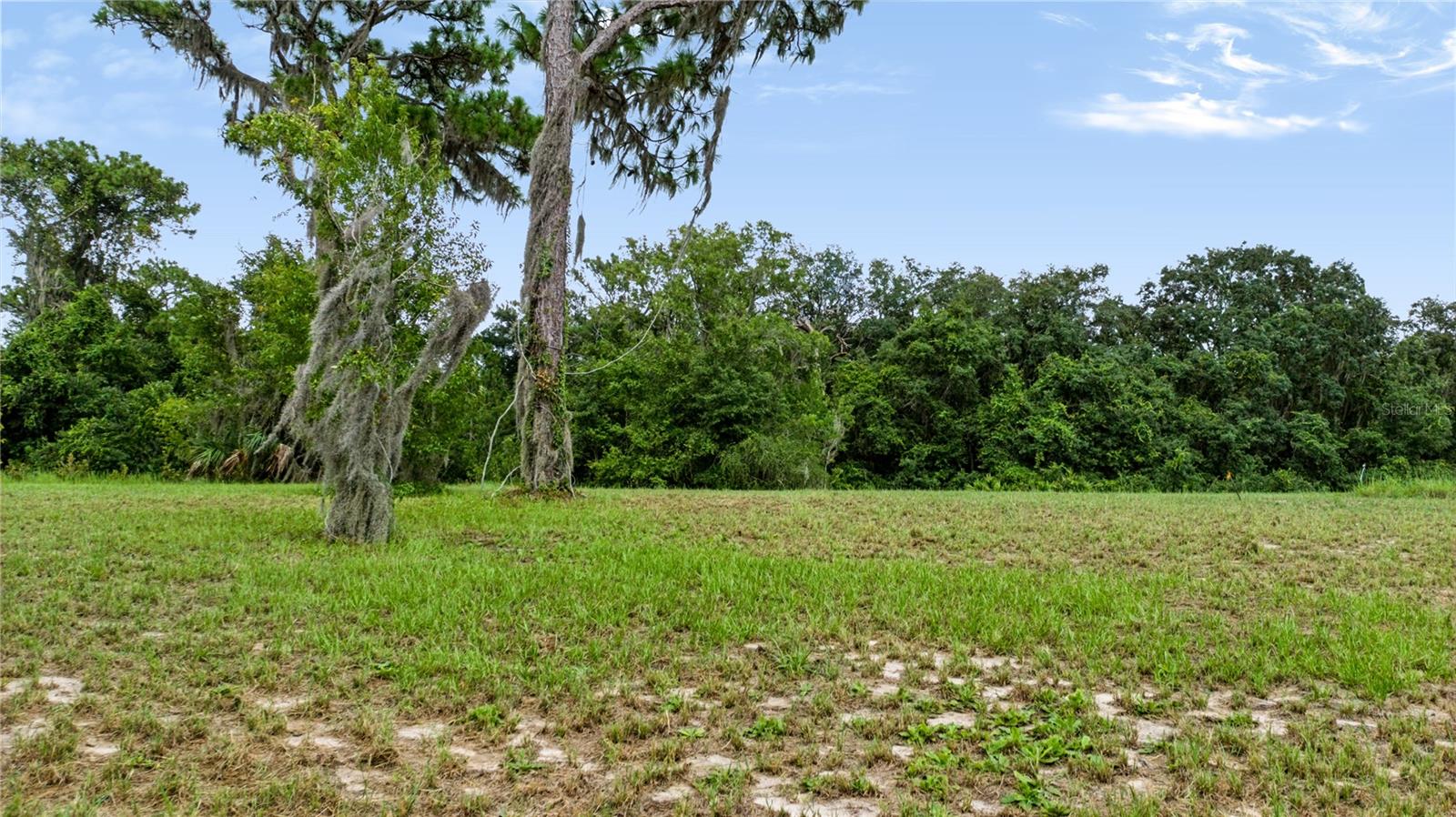 Trotting Horse Ln Property Photo 50