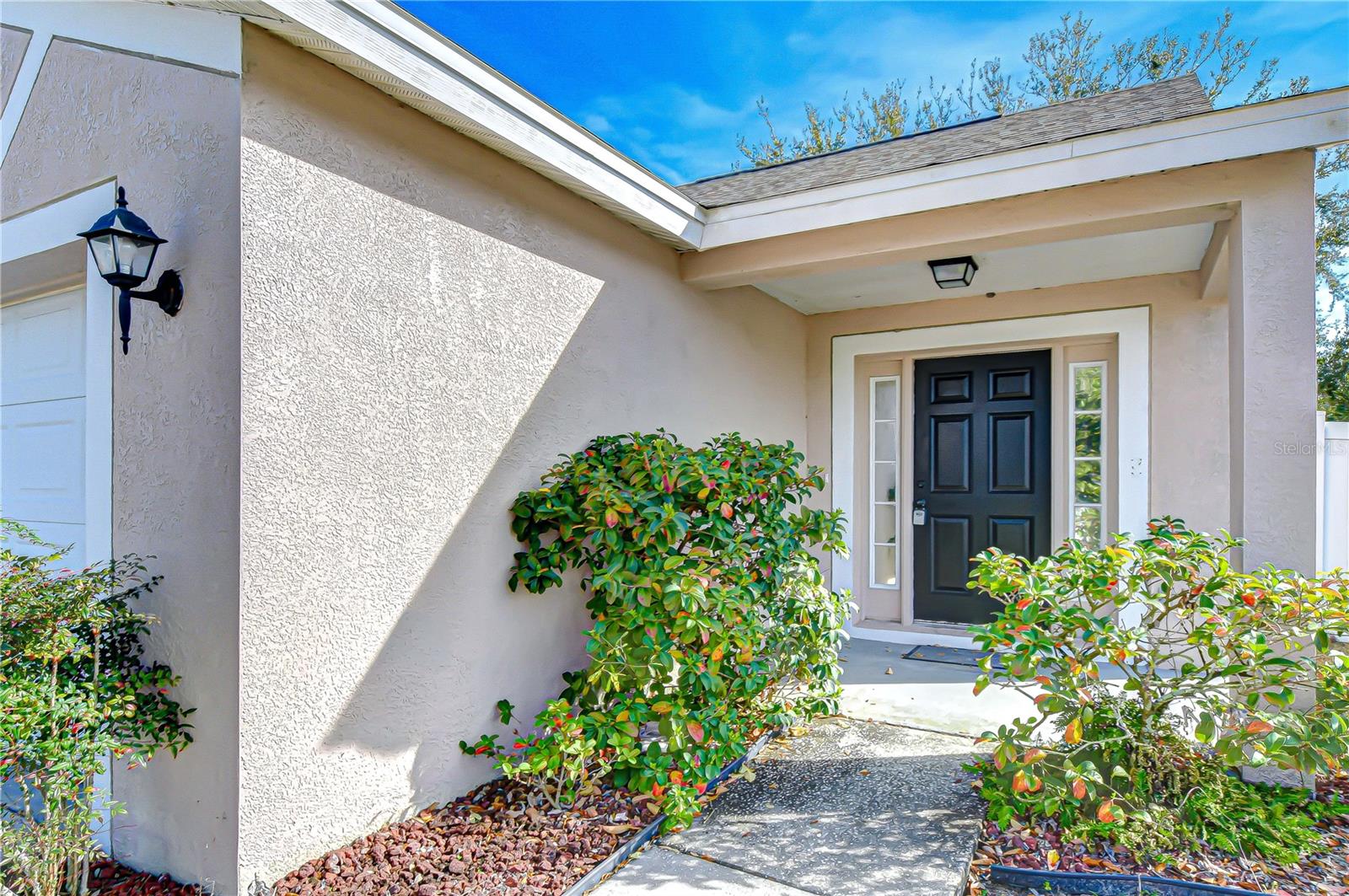 24640 Siena Dr Property Photo 5