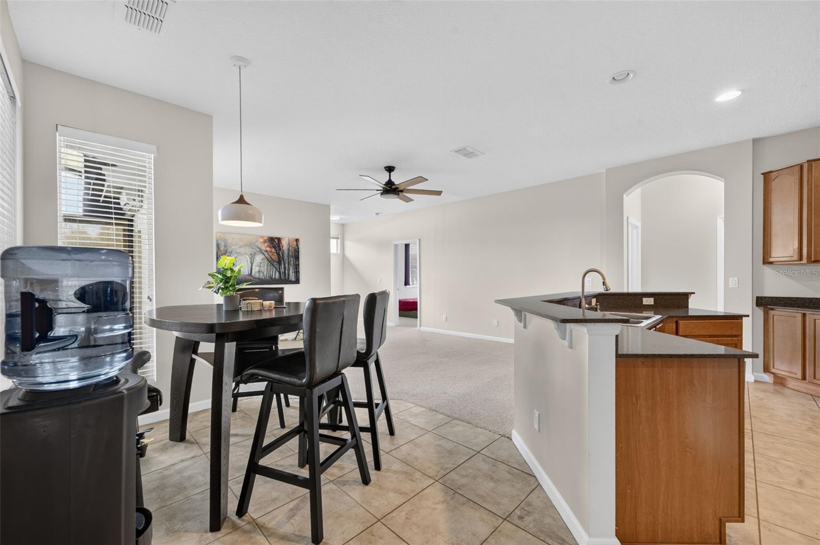 13529 Via Roma Cir Property Photo 14