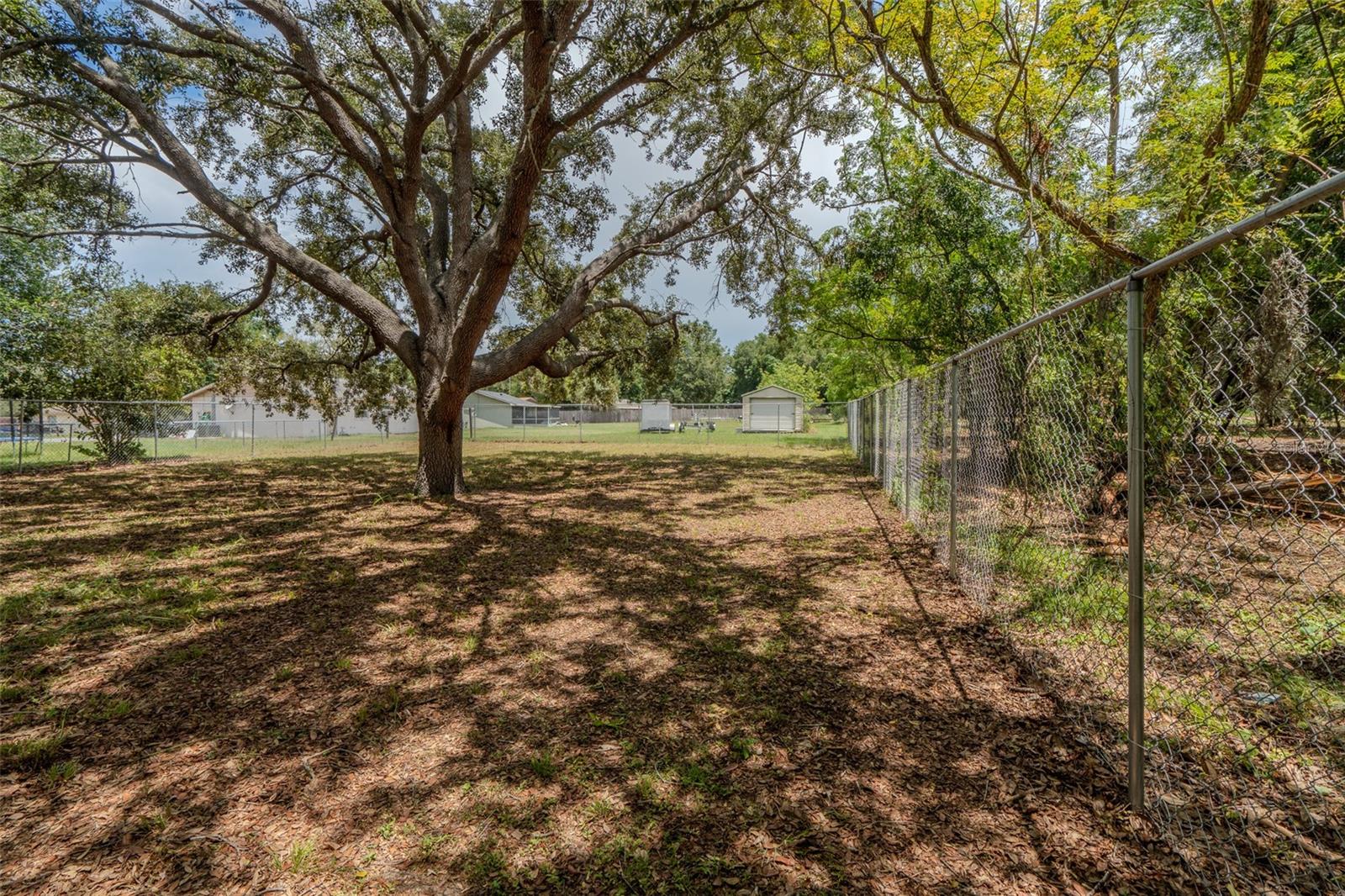 1049 Birch Blvd Property Photo 4