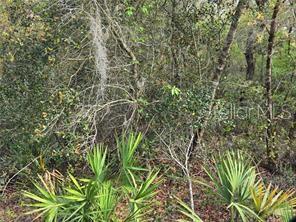 Cr 245d Property Photo 1