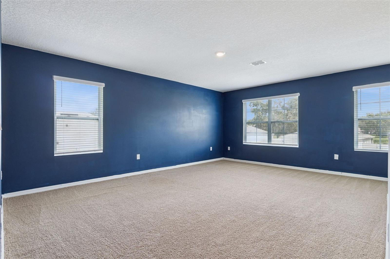 10528 Bronze Leaf Ct Property Photo 21