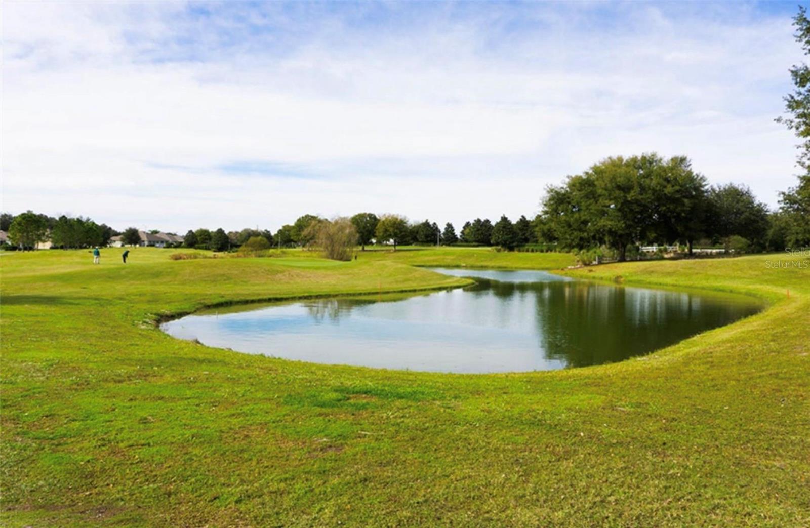 4650 Shenandoah River Trl Property Photo 76