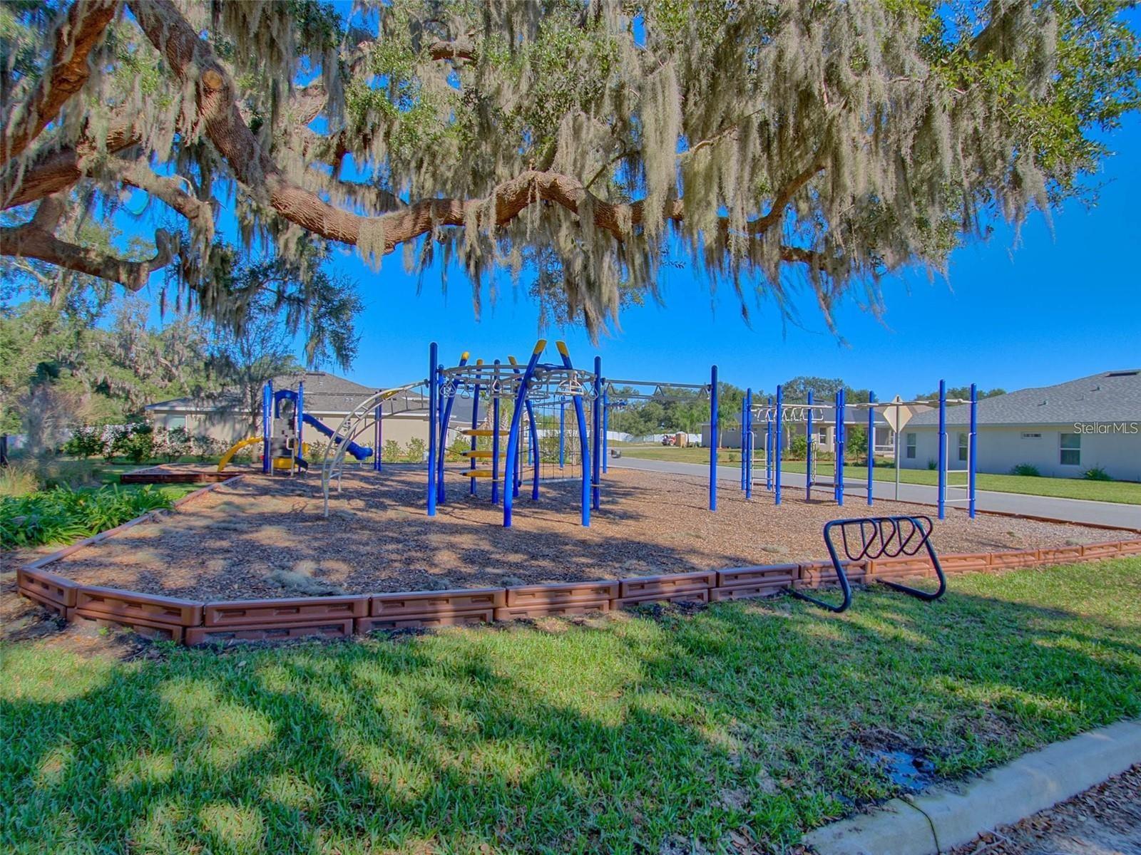 10369 Silver Maple Ave Property Photo 44