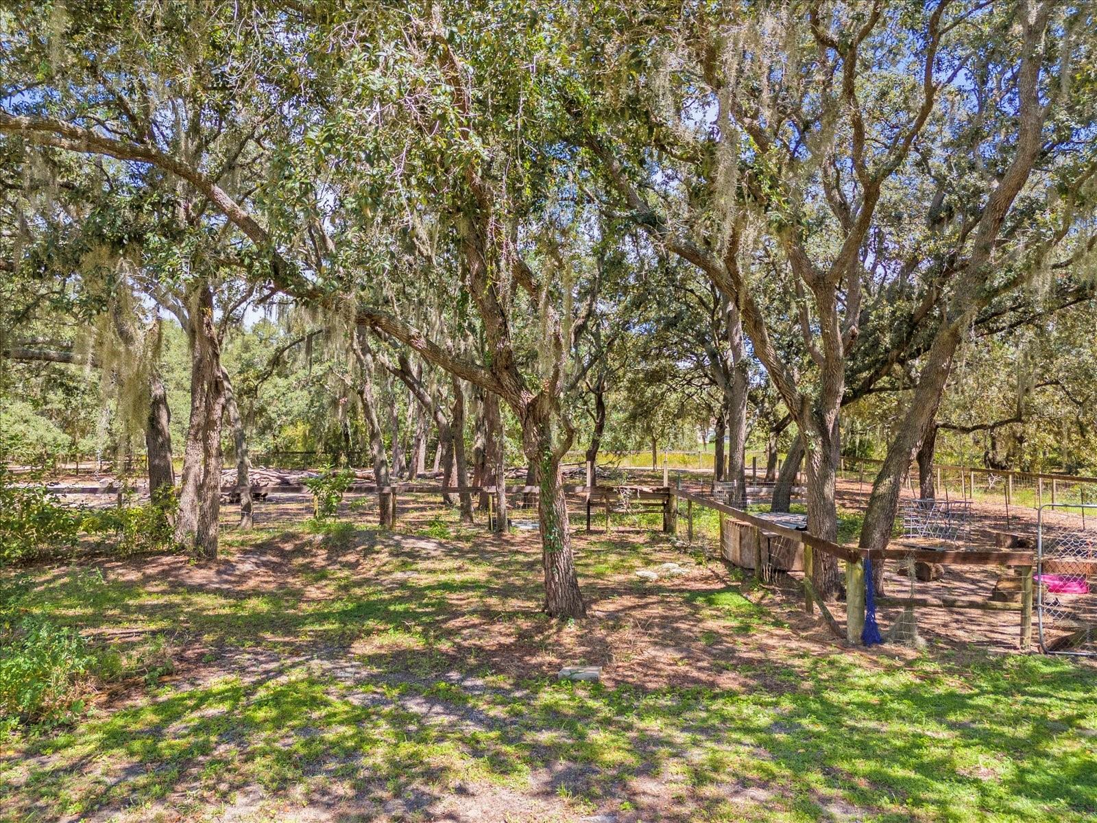 14043 Tennessee Ave Property Photo 39