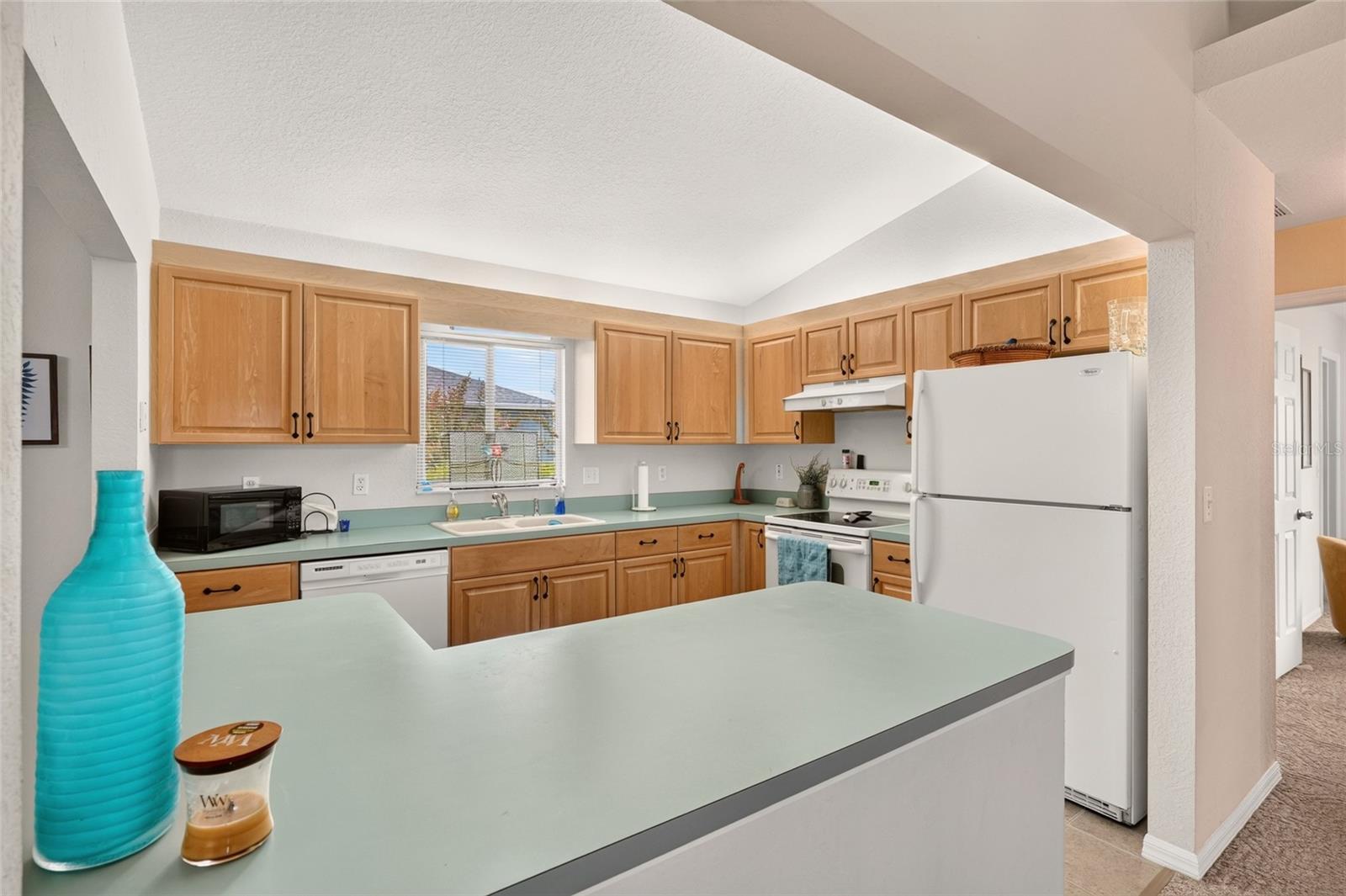 8446 Se 137th Loop Property Photo 13