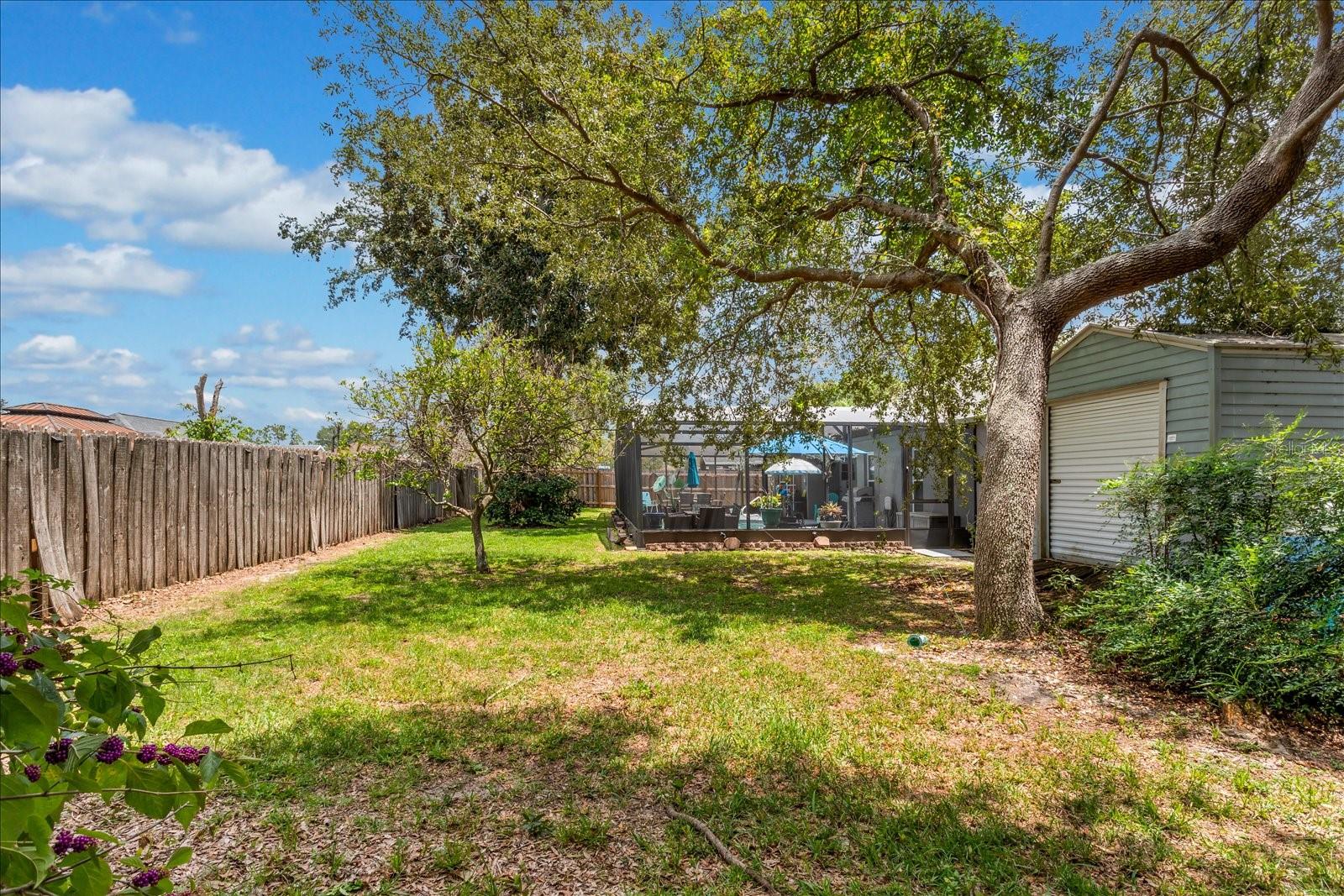 10217 Spring Moss Ave Property Photo 26