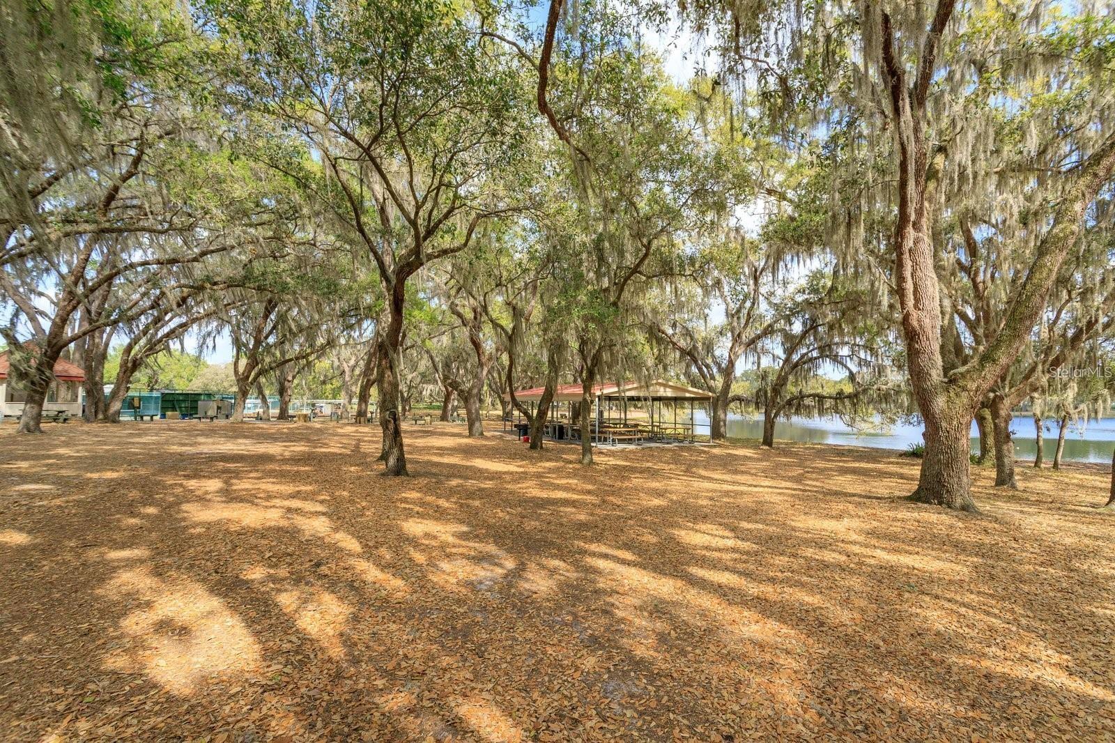 26616 Wimbledon St Property Photo 30