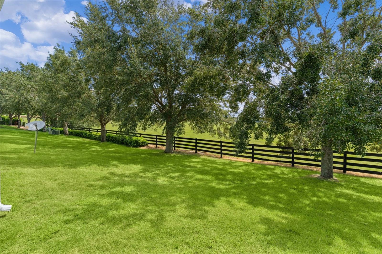 371 Arbella Loop Property Photo 8