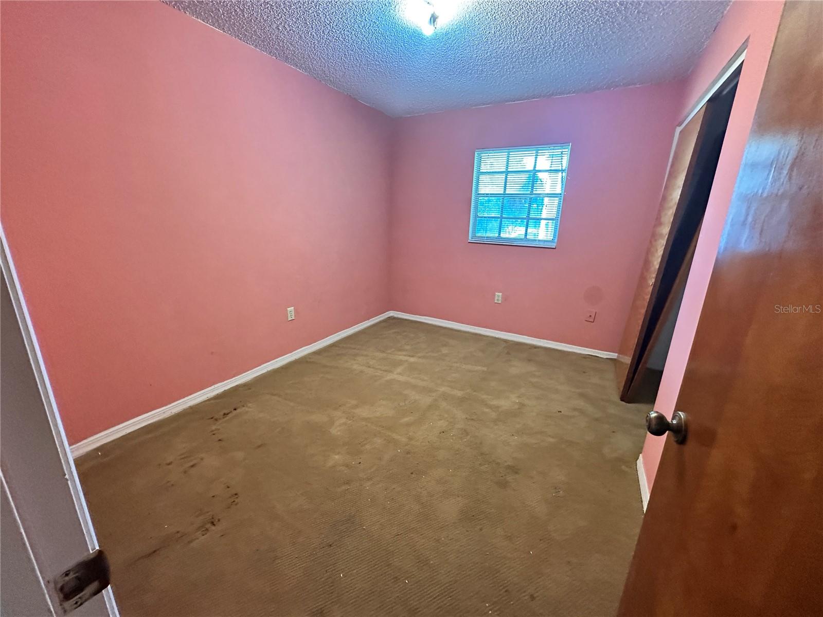 35011 Haines Creek Rd Property Photo 8