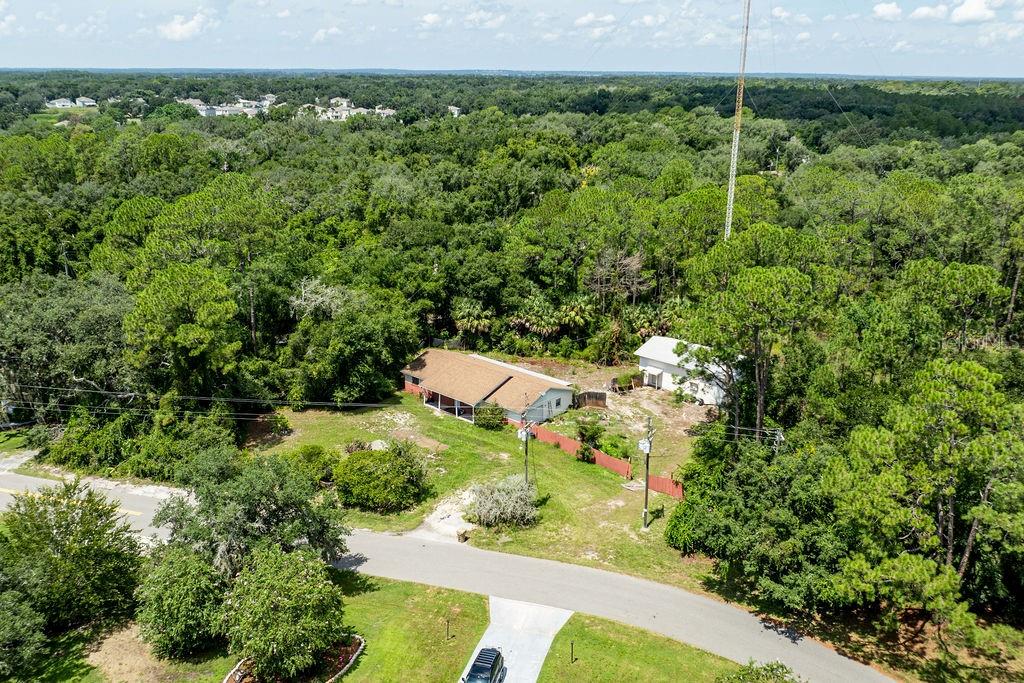 35011 Haines Creek Rd Property Photo 17