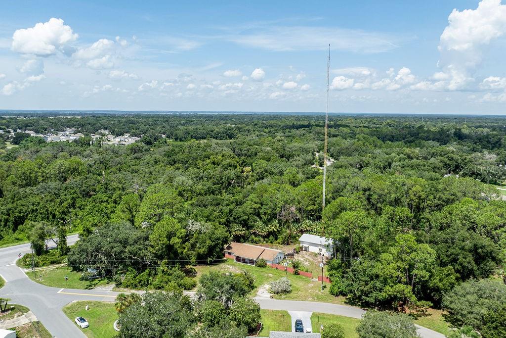 35011 Haines Creek Rd Property Photo 28