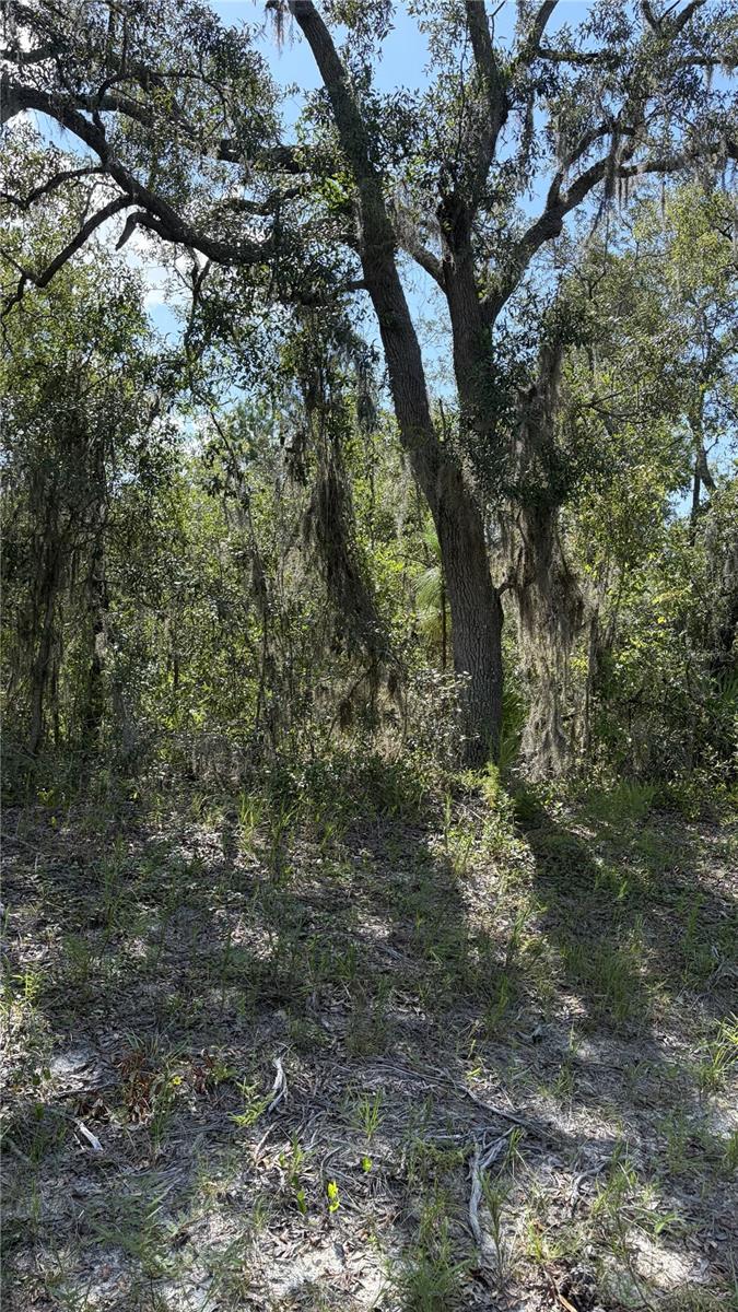2199 N Stampede Dr Property Photo 1