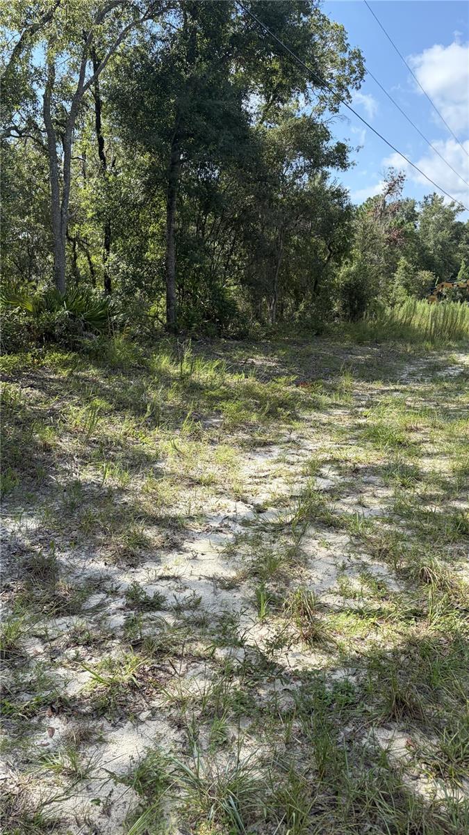 2199 N Stampede Dr Property Photo 2