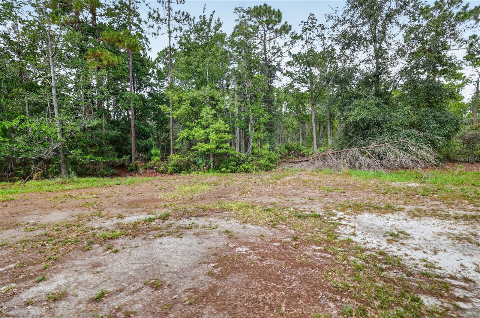 24939 Old Deer Rd Property Photo 42