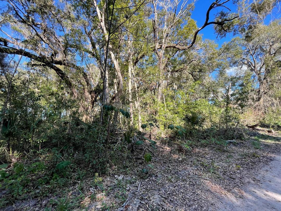 13581 119th Pl Property Photo 3