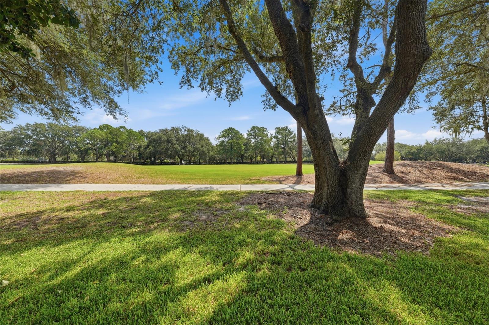 1209 Barcelona Dr Property Photo 4