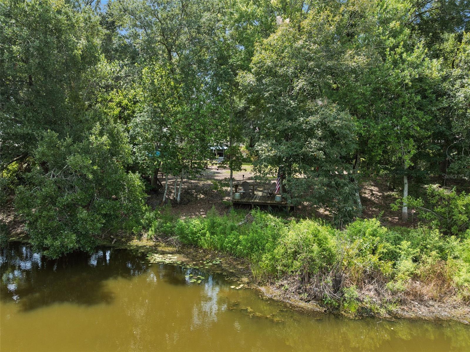 33440 Lake Bend Cir Property Photo 51