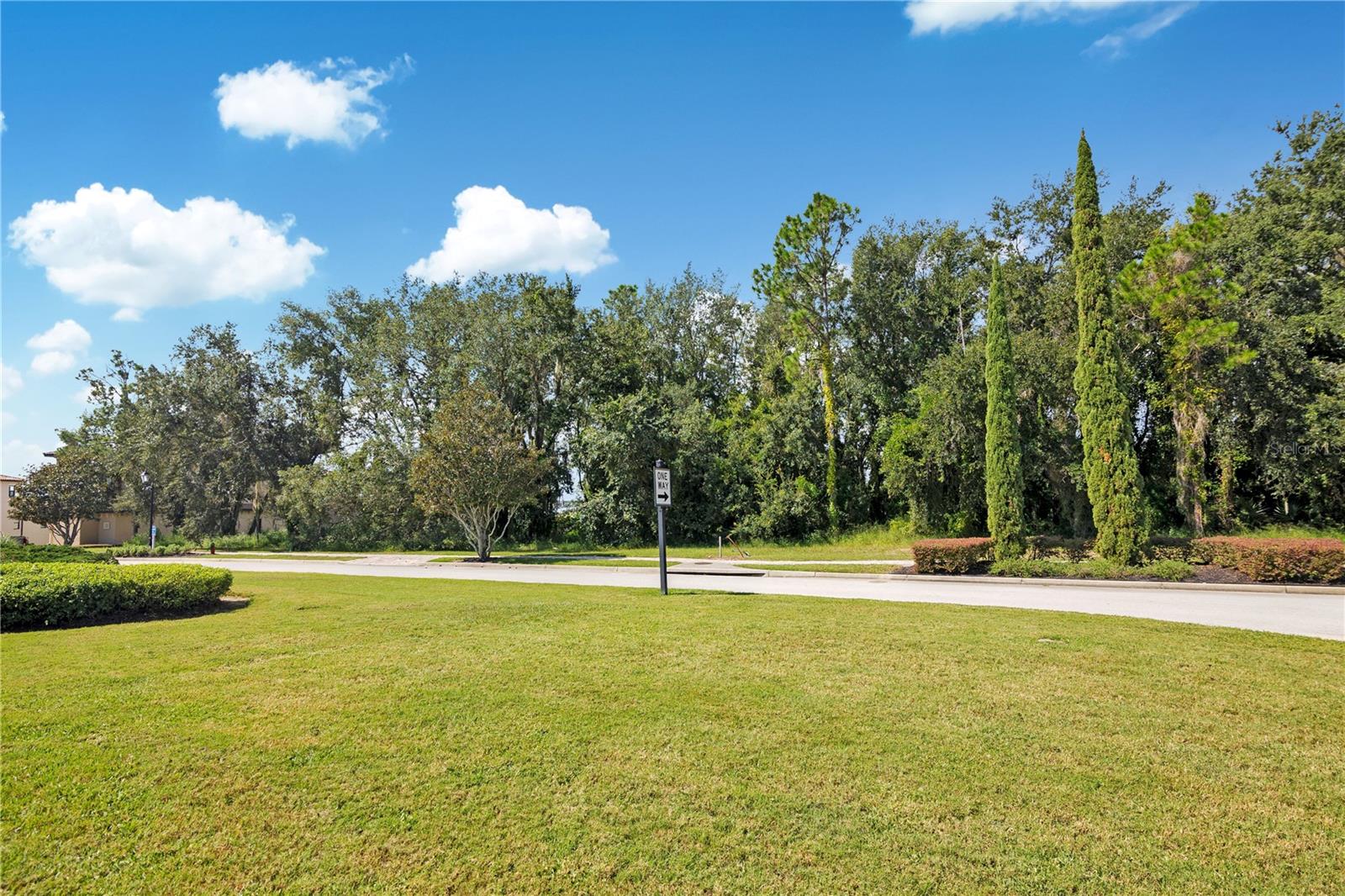 15437 Pendio Dr Property Photo 13