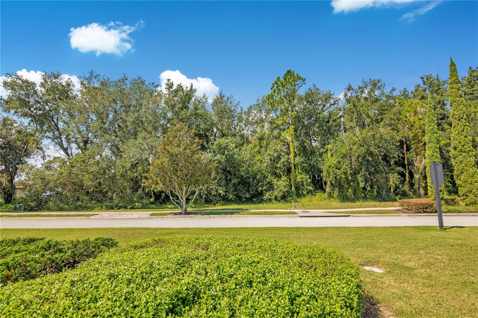 15437 Pendio Dr Property Photo 14