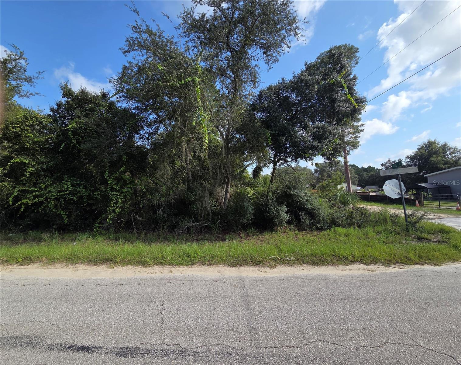Pine St Property Photo 2