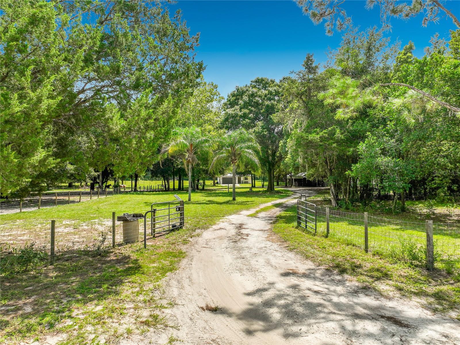 34814 William Ln Property Photo 4