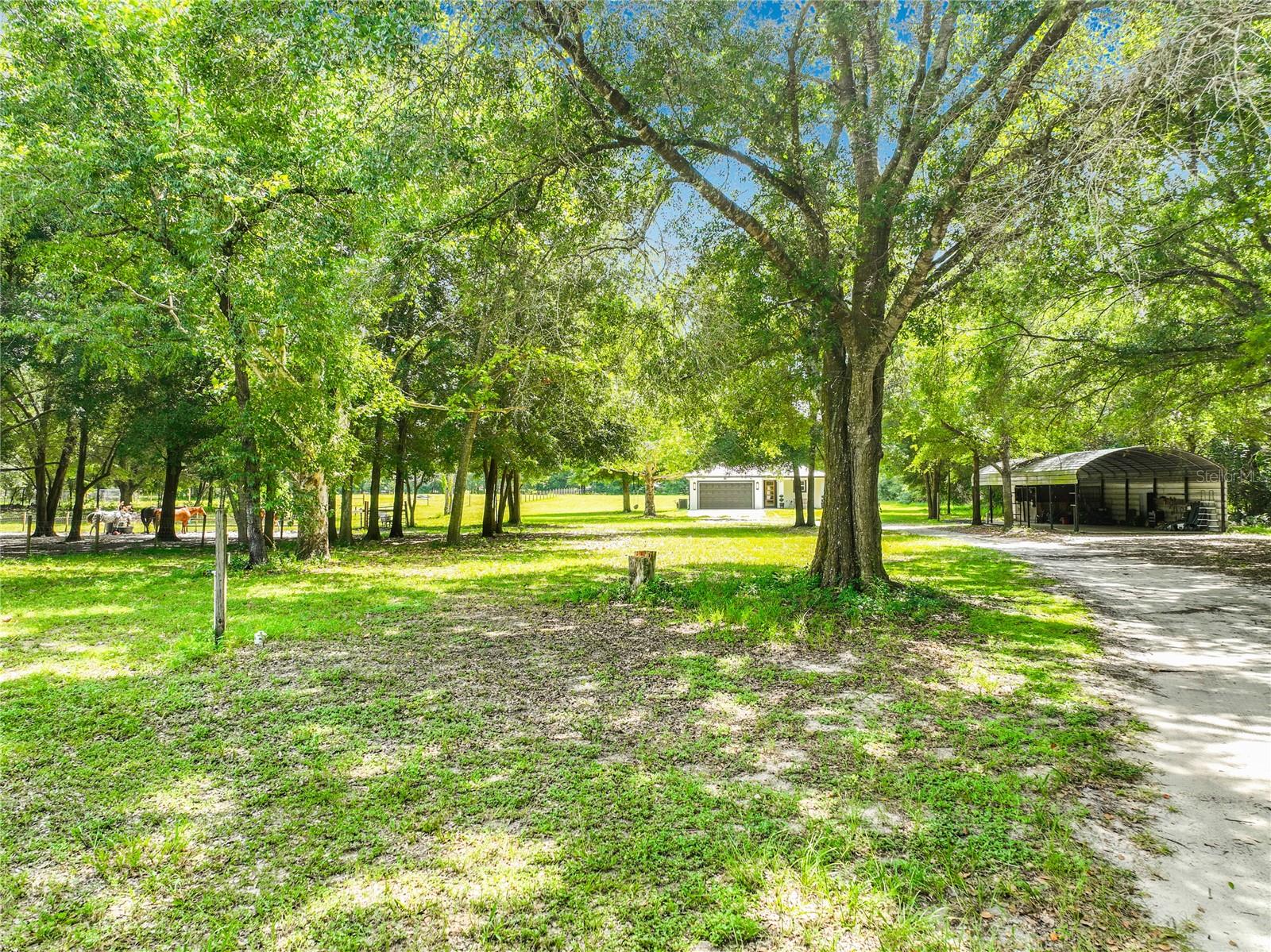 34814 William Ln Property Photo 6