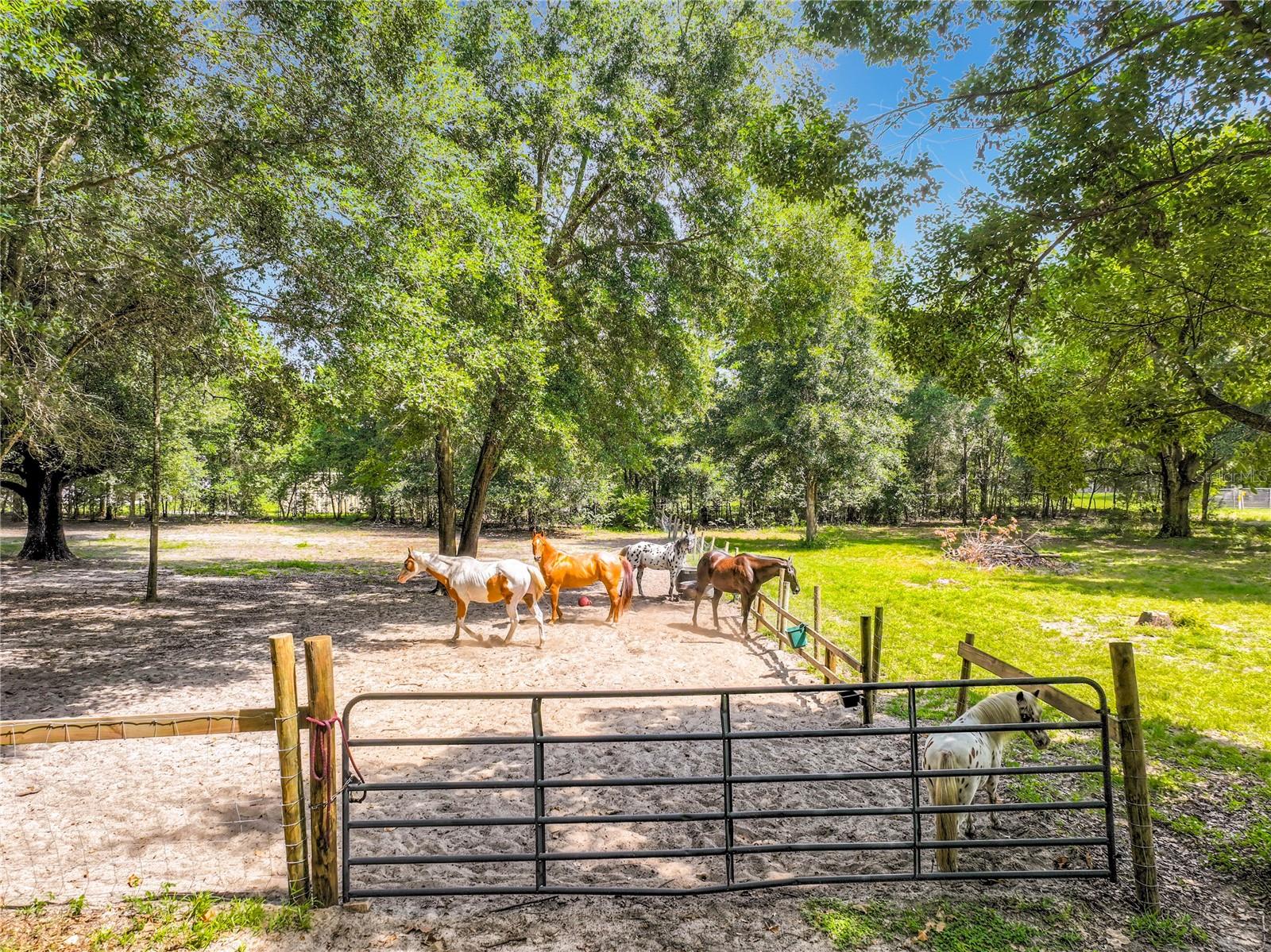 34814 William Ln Property Photo 64